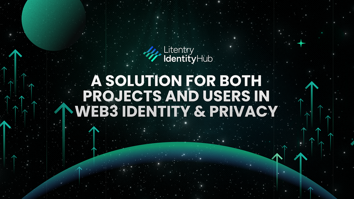 IdentityHub: A Solution for Both Projects and Users in Web3 Identity and Privacy.