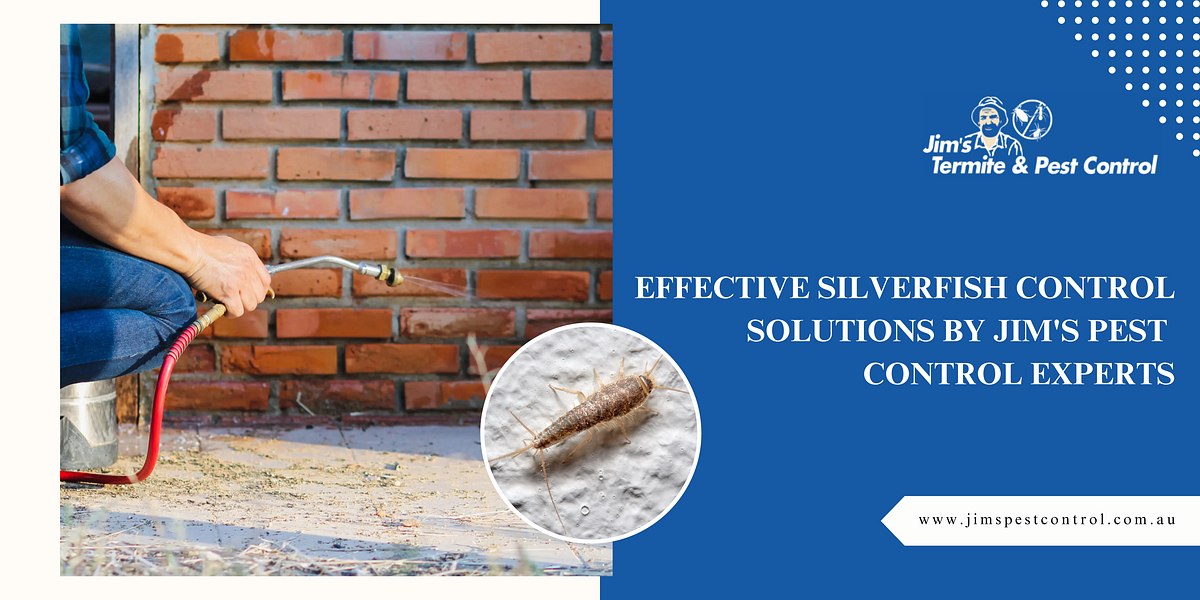 EFFECTIVE SILVERFISH CONTROL SOLUTIONS BY JIM’S PEST CONTROL EXPERTS