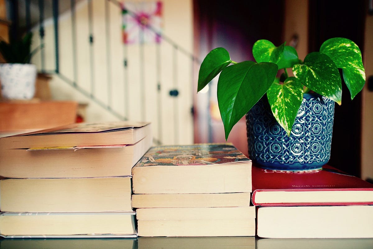 Essentialism. The modern educational system has… | by Karina Kovalova ...