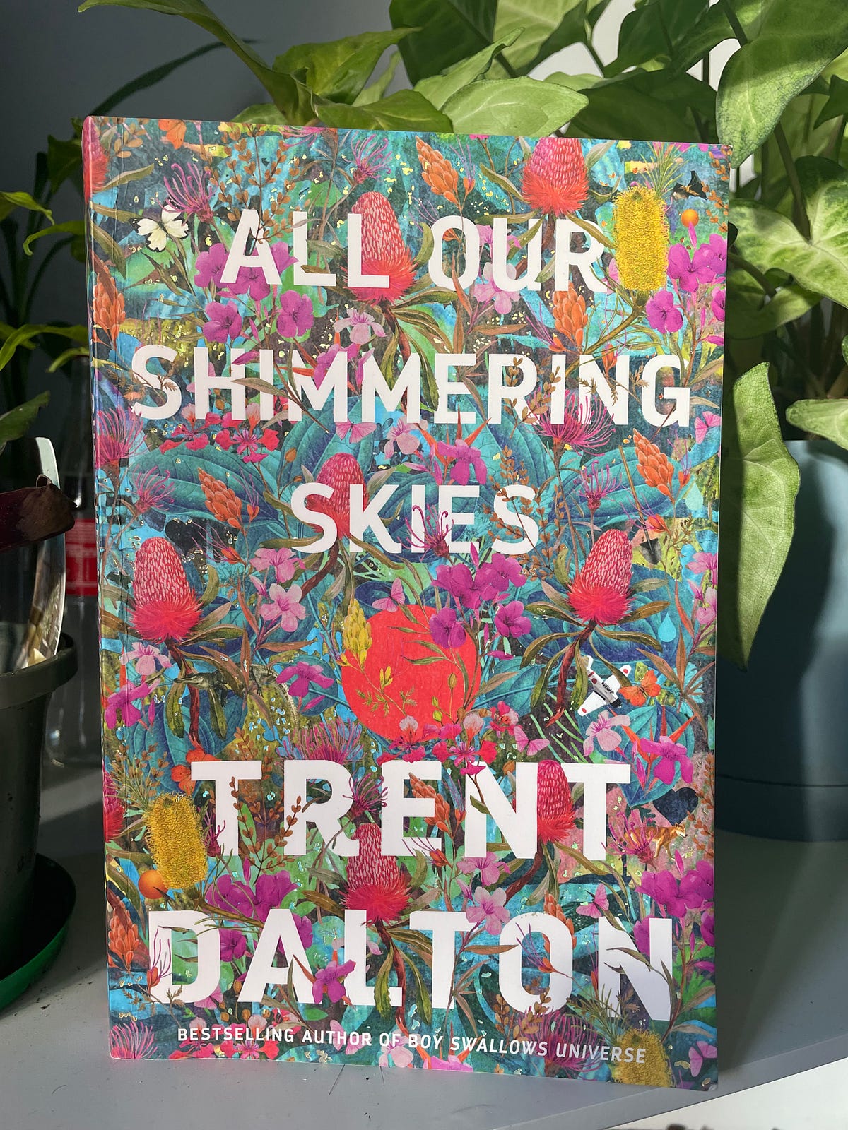 All Our Shimmering Skies. Trent Dalton’s first novel, Boy… by Thomas Clark The WIT Review