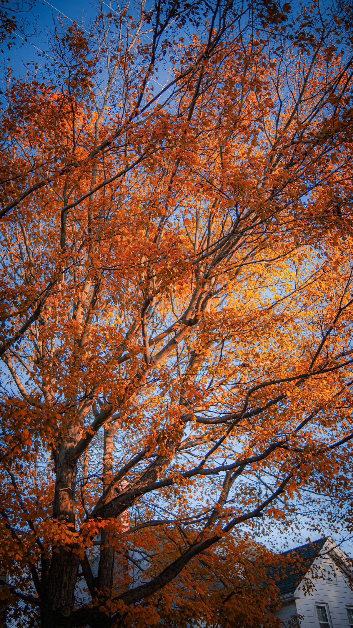 Ghost-work. On the last day of October, I sent a… | by Muthia Huda ...