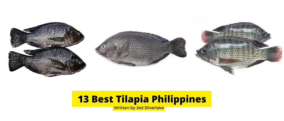 13 Best Tilapia Philippines 2022 (w/ Free Discount) by Manila