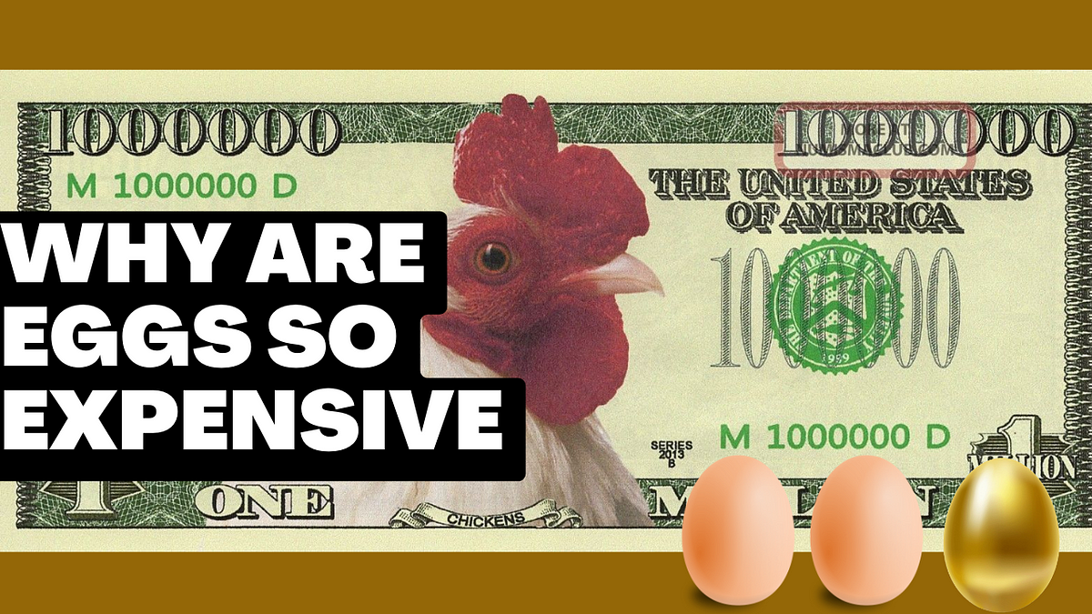 Why Are Eggs So Expensive Right Now? by Foodverge Medium