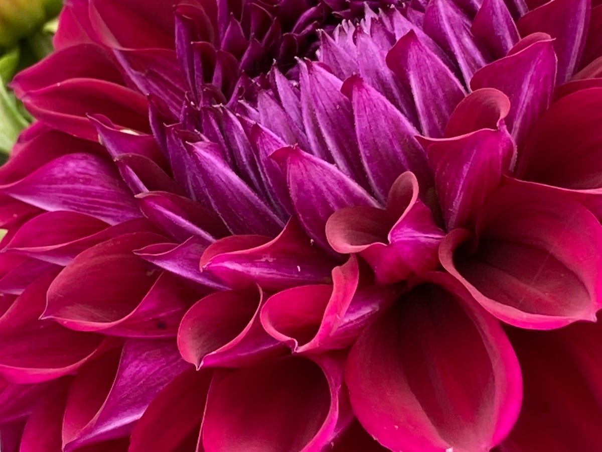 medium.com - Patsy Fergusson - My Son is in the Hospital, for a Win!