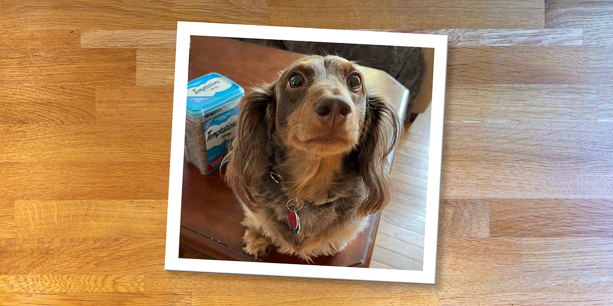 I Am All Ears. Writing Prompt: Are you a listener or… | by Leigh-Anne ...
