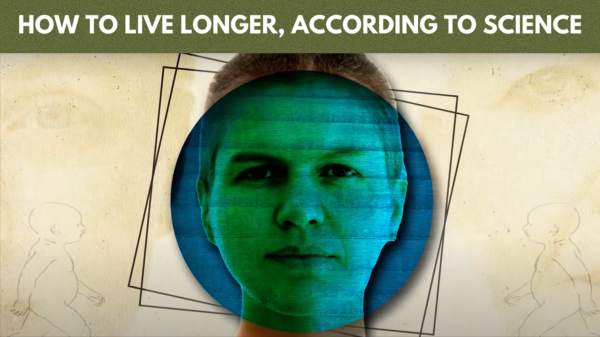 How to Live Longer, According to Science — BBC News | by Nexa News ...
