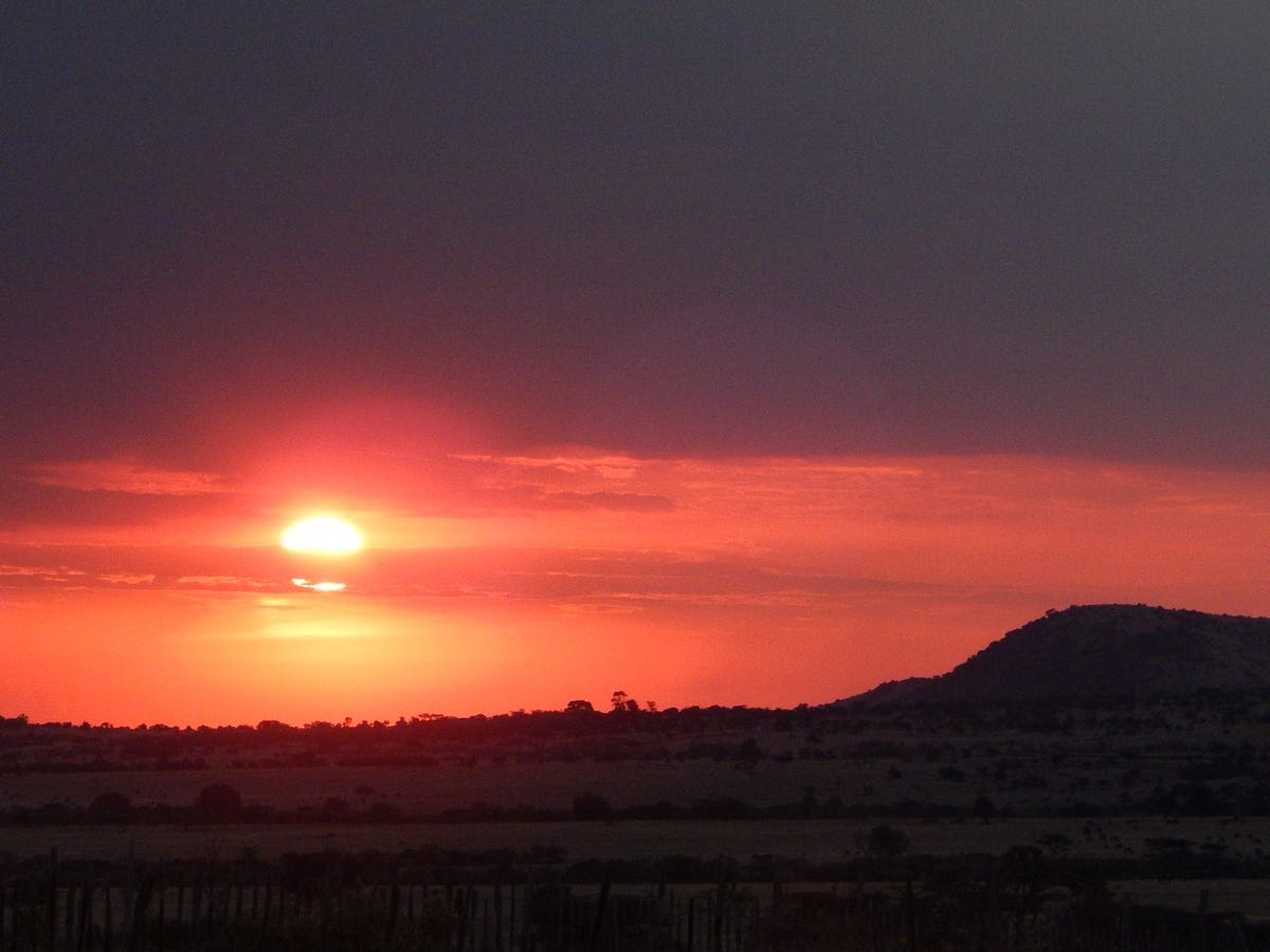 It s a new dawn for women and children by susan njuguna Medium It s a new dawn for women and children by susan njuguna Medium