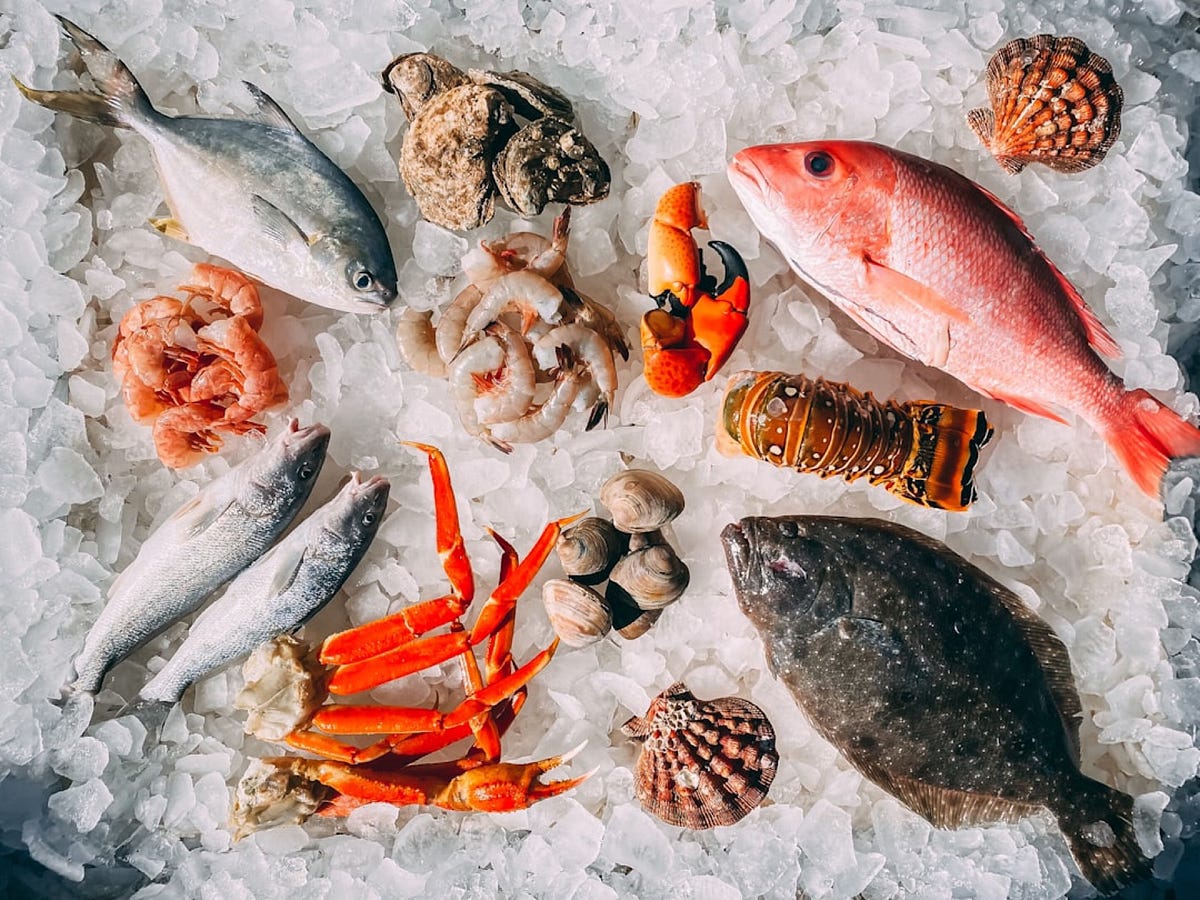 Seafood: Treasures from the Sea to Taste and Disco
