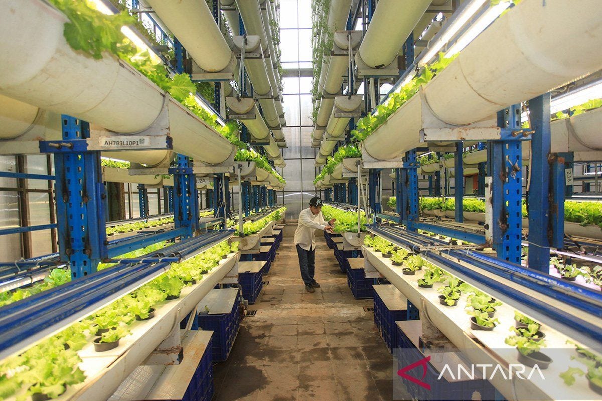PENGGUNAAN GREENHOUSE SEBAGAI TEMPAT PRODUKSI TANAMAN DI DAERAH TROPIKA