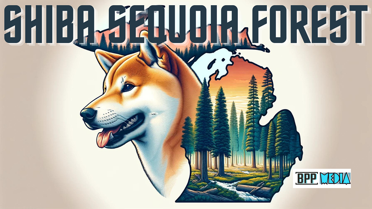 shiba-sequoia-forest-unveils-exciting-summer-event-schedule-by-bpp