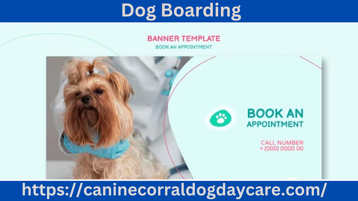 Dog Boarding. Is your canine getting the exercise and… by Md Josim Khan Medium