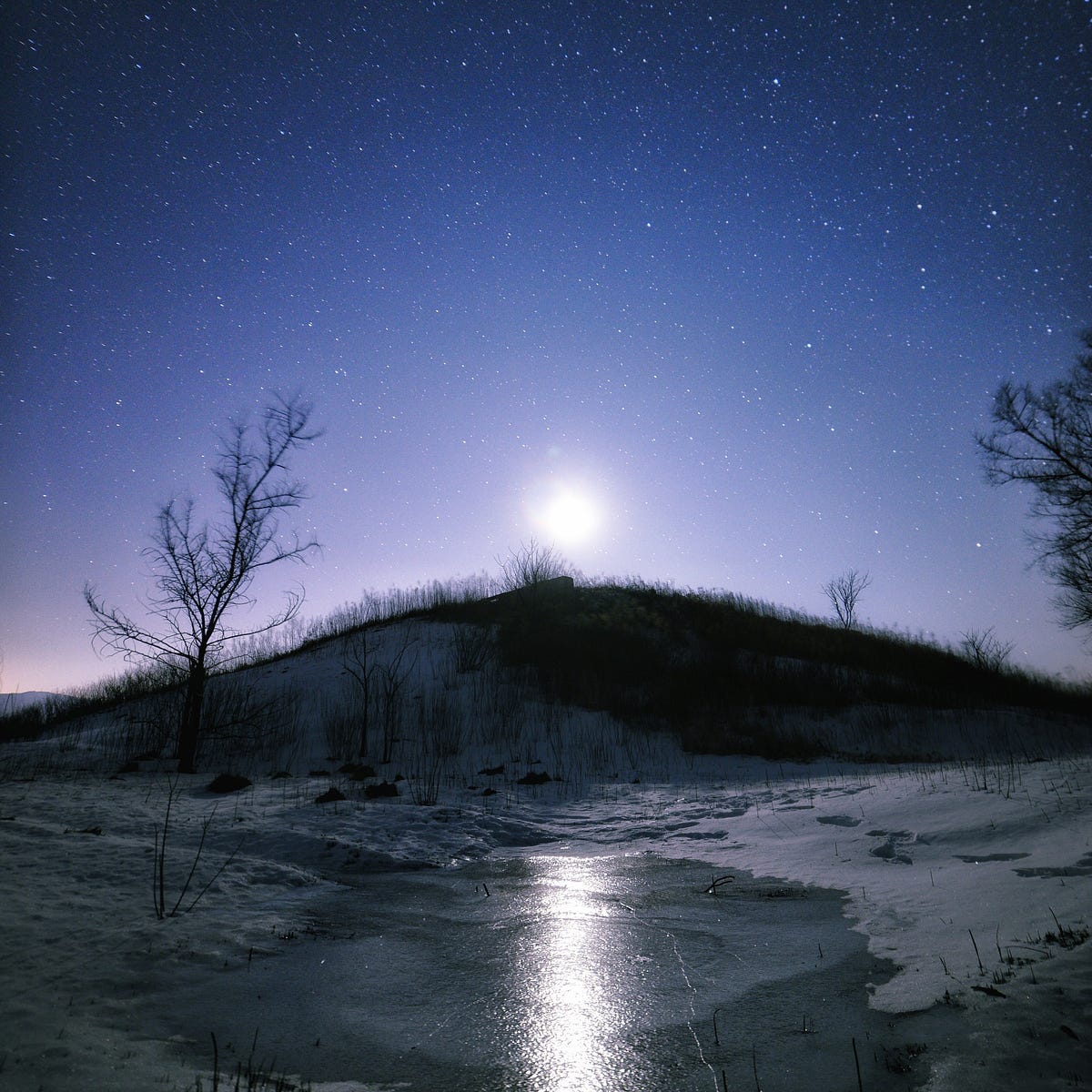 Luna Stars