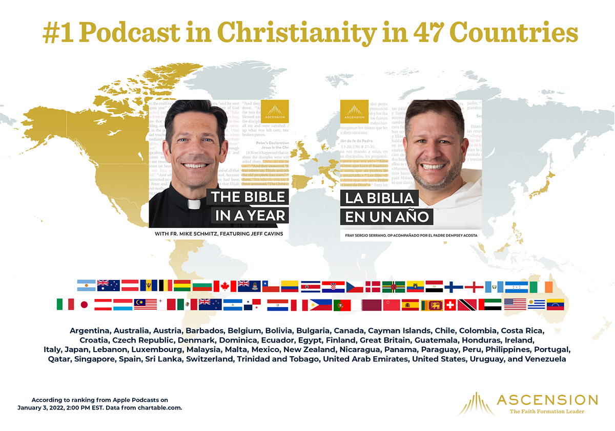 The Catechism in a Year Reveals His Plan by Joseph Serwach Catholic