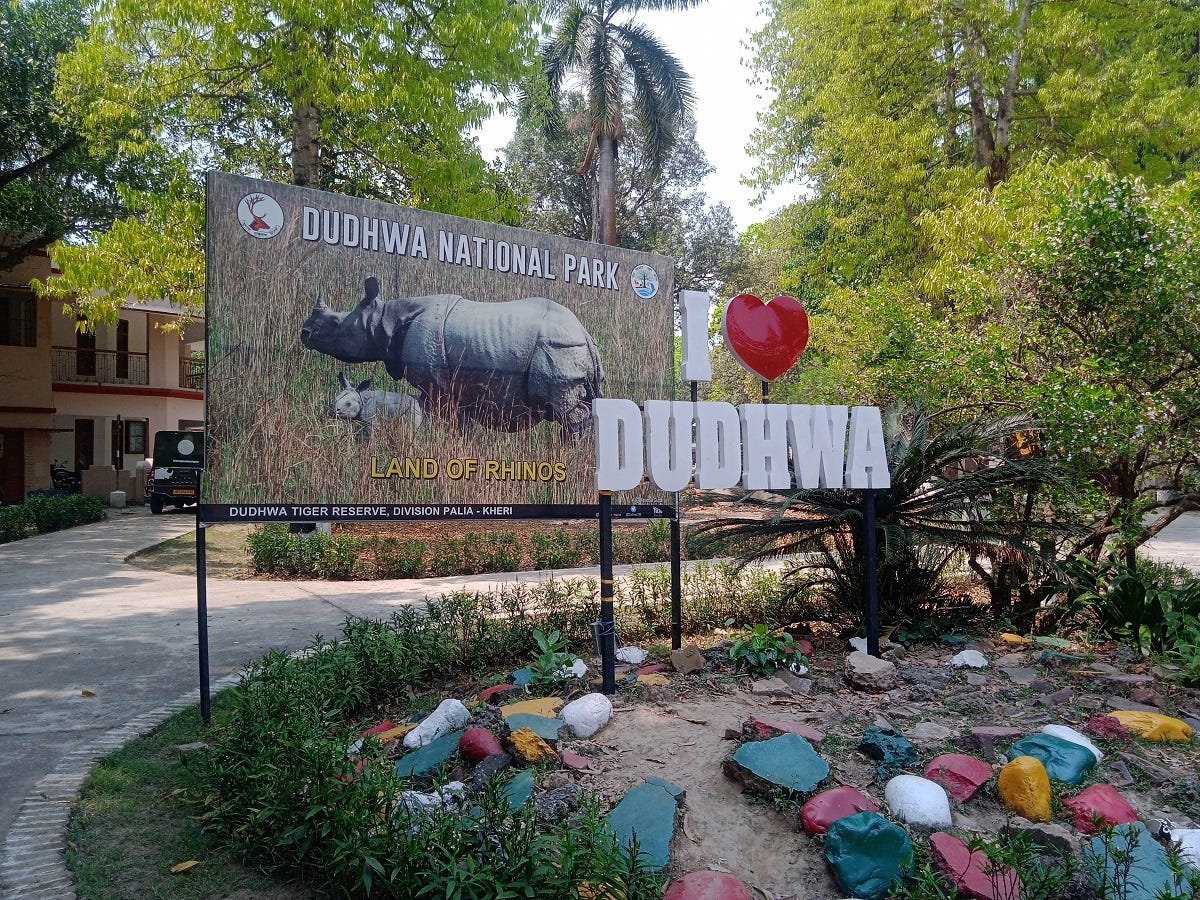 Is Dudhwa National Park better than more popular Tiger Reserves in India?