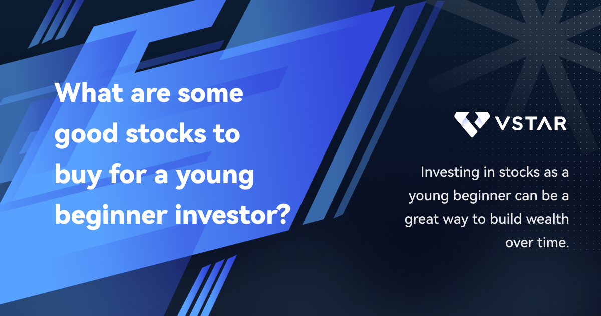 What are some good stocks to buy for a young beginner investor? by