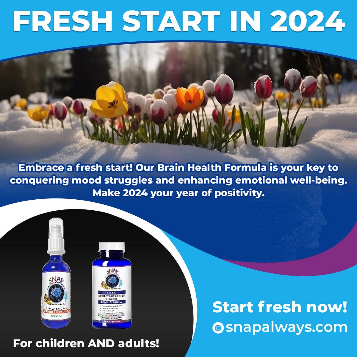 Vitamins for Anxiety and SNAP Brain Formula by Snap Brain Supplements