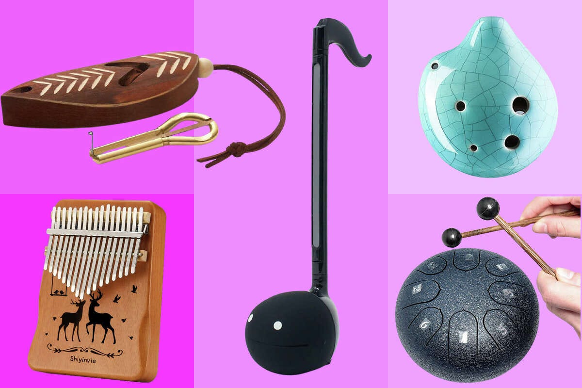 10 Hilariously Weird and Unique Instruments That Will Blow Your Mind!! | by  Rubi Joshi | Medium
