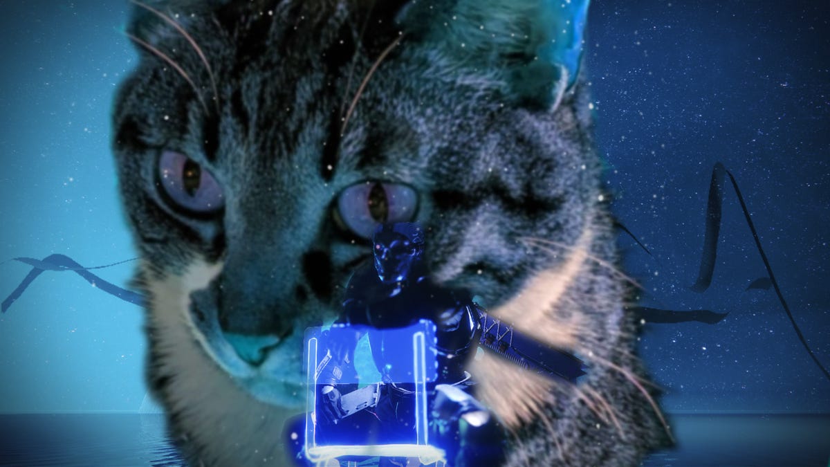 How to fix Error Code: CAT in Destiny 2 | by Christian Dawson 