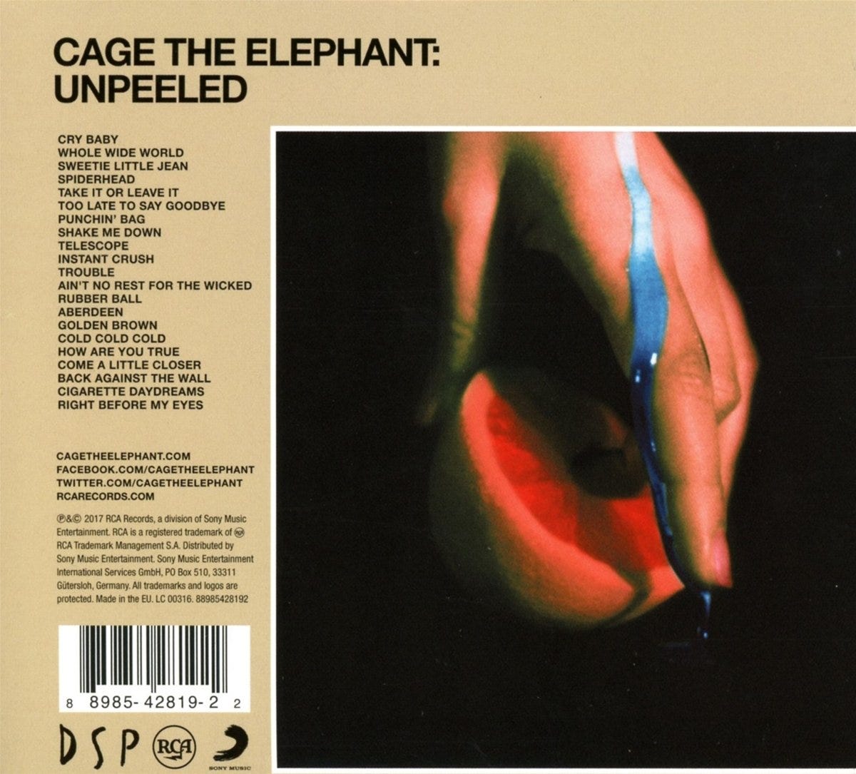 Cage the Elephant Proves That Acoustic Albums Are Better | by musemag |  musemag | Medium