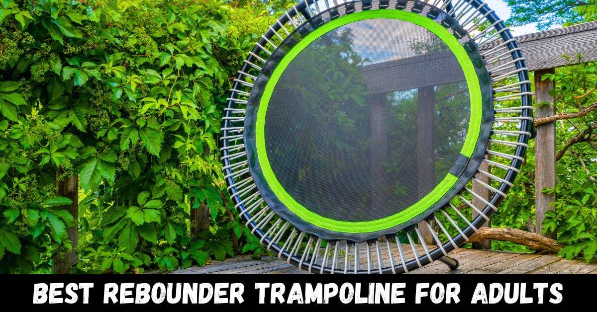 7 Best Rebounder Trampoline for Adults Trampoline Mind Medium