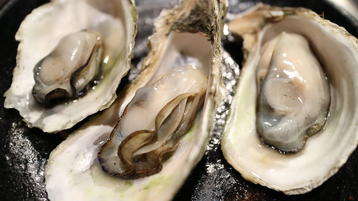 10 Arousing Facts About Oysters. Revealing Oysters’ Aphrodisiac… by