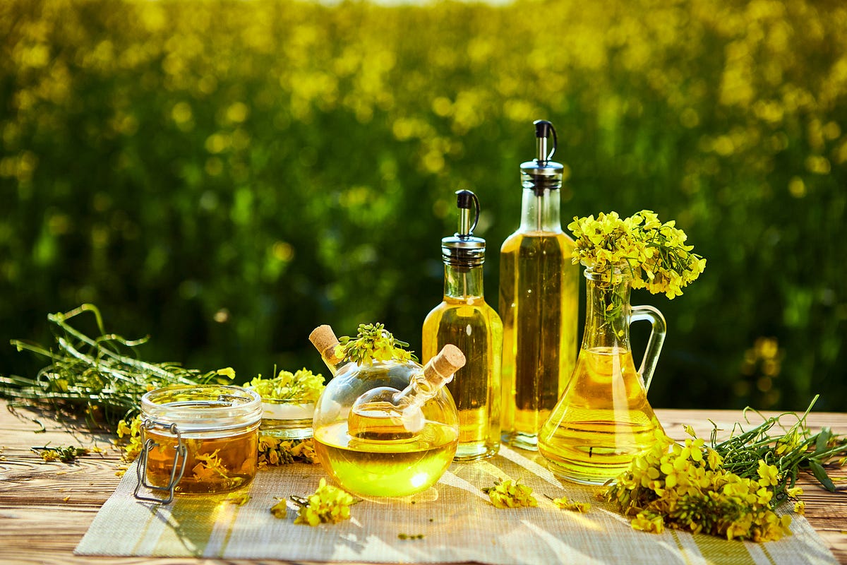 what canola oil is made of Nabeelaslam Medium