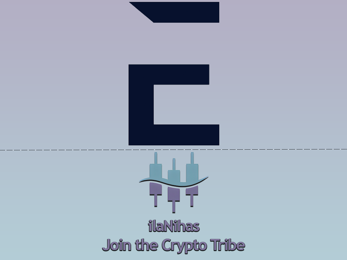 🌍Evernode: Become a Pioneering Host | by ilaNihas 🌍 | Medium