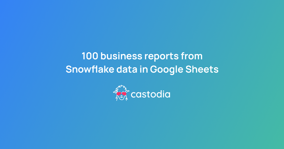 100 Business Reports you can Generate from your Snowflake Data to