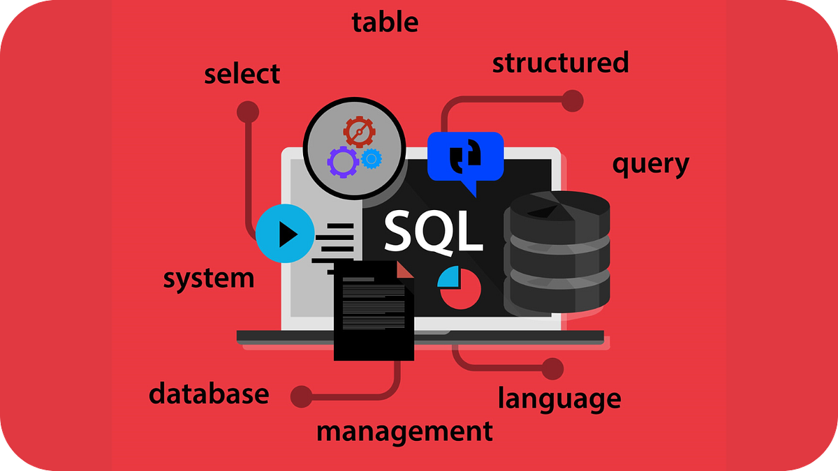 SQL 101: 10 must-know commands for database management. | by Micheal ...