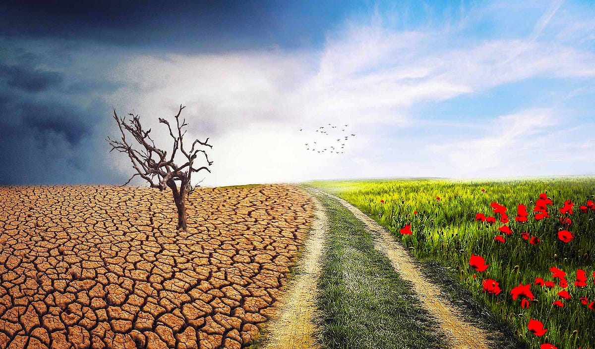 Changing the Climate