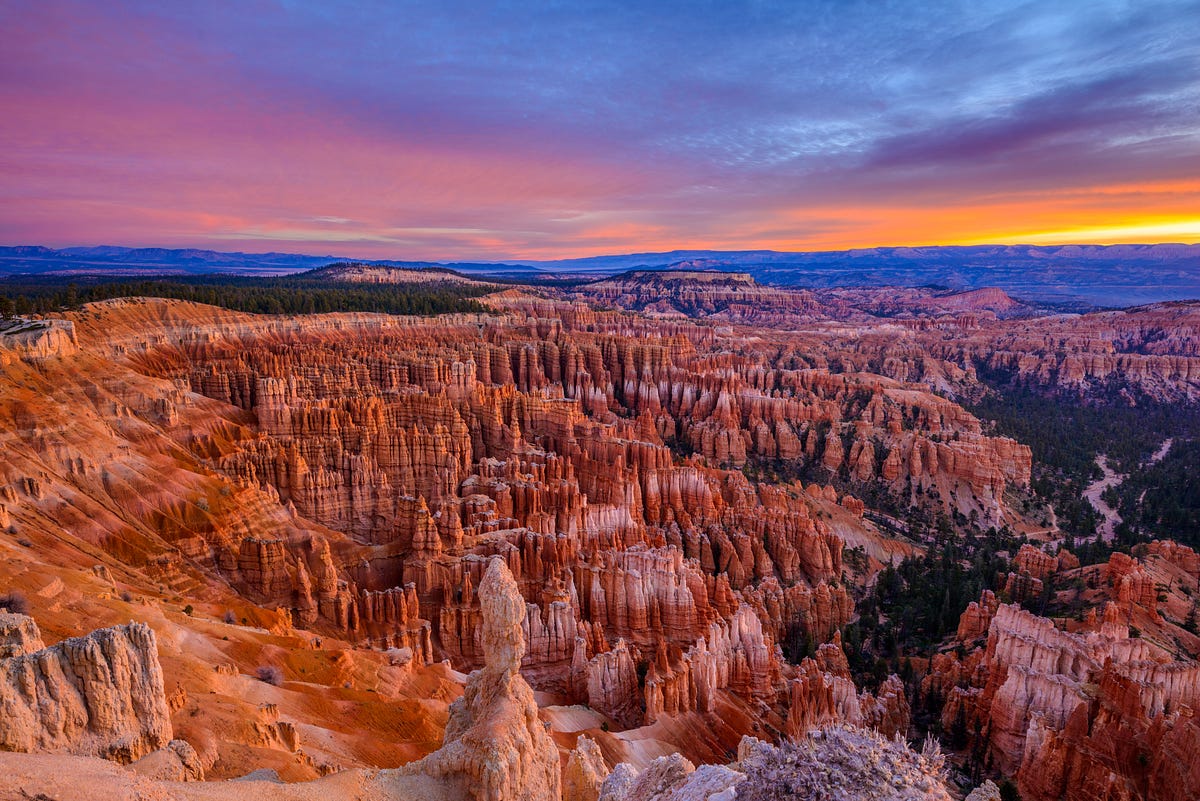 Red Rocks and Wildflowers: Why Spring 2026 is the Ultimate Time for a ...