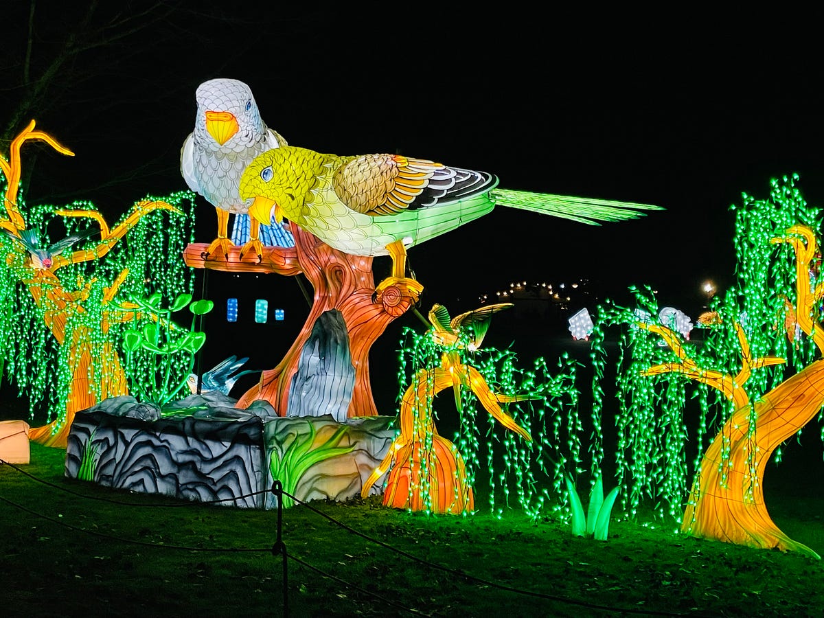 Wild Lanterns at Woodland Park Zoo | by Siddharth Bhattacharya | The  Travelling Engineer | Medium