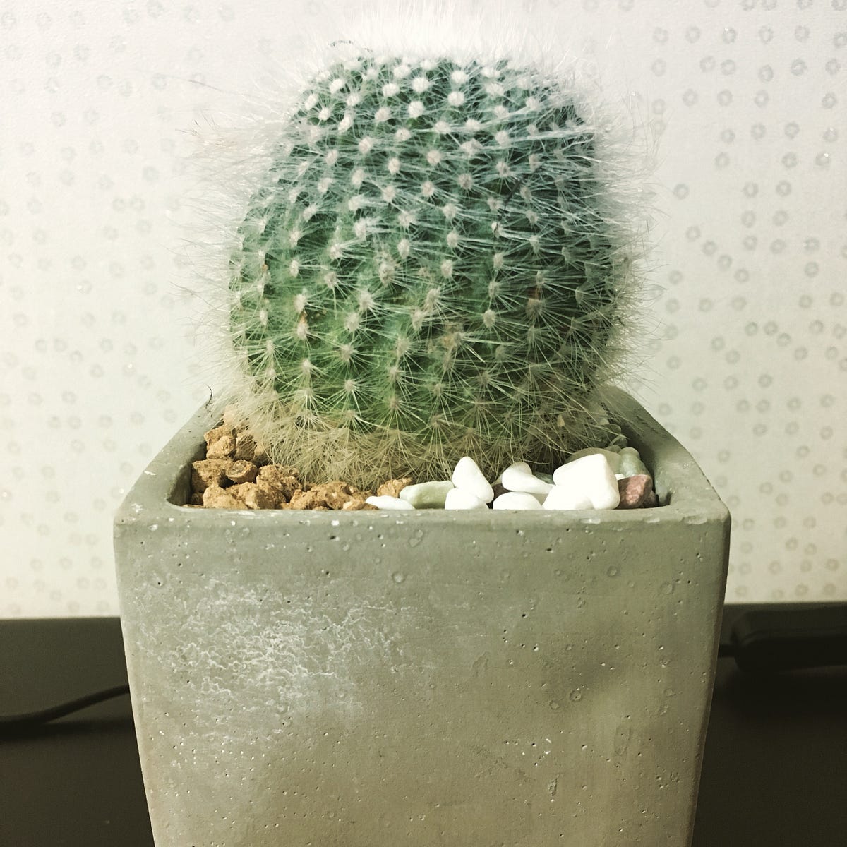 [Javascript] Closure, Hoisting (클로저, 호이스팅) by Dongmin Jang Medium