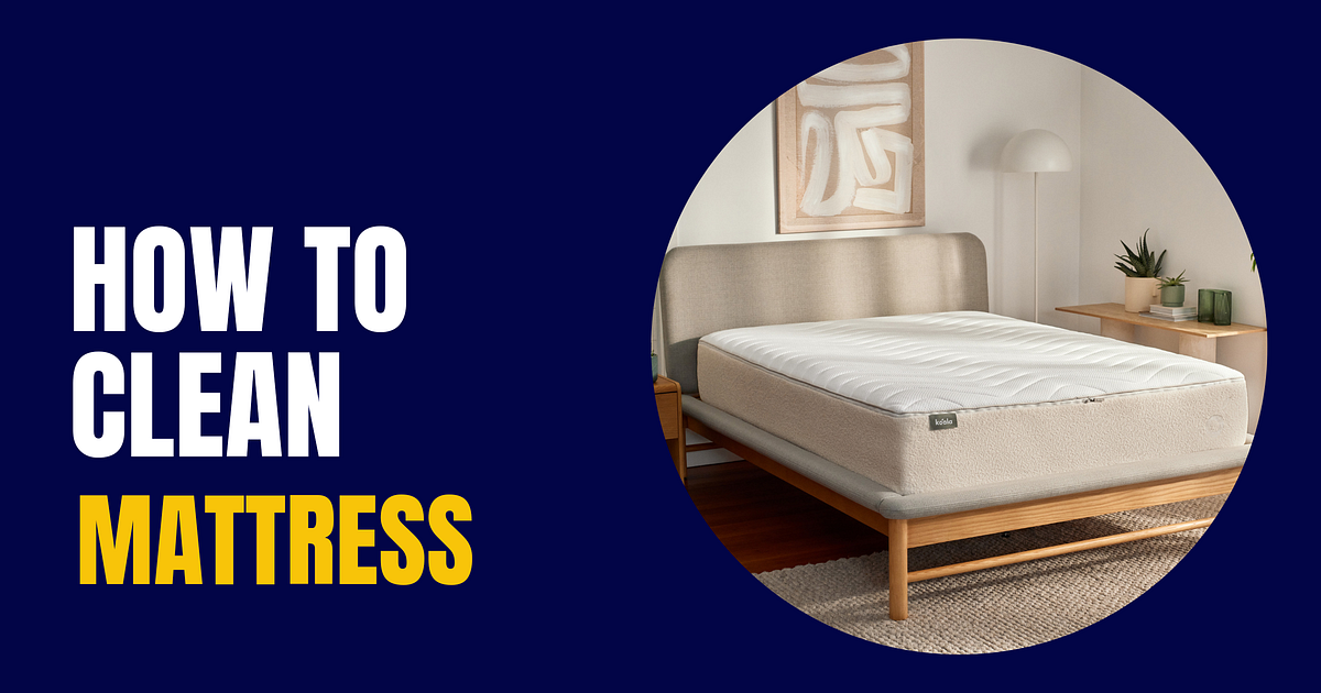 How clean a mattress by Bed Time Buzz Medium