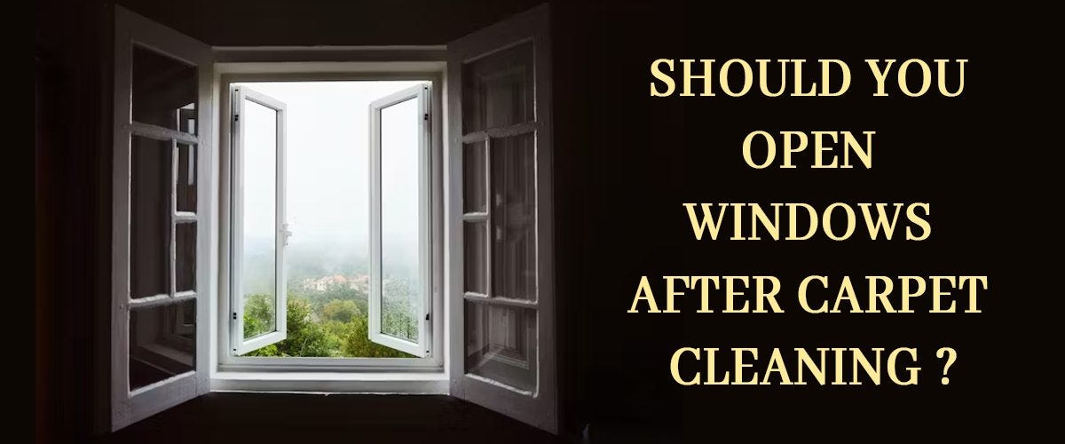 Should you open Windows after Carpet Cleaning? Dirt2Tidy Medium
