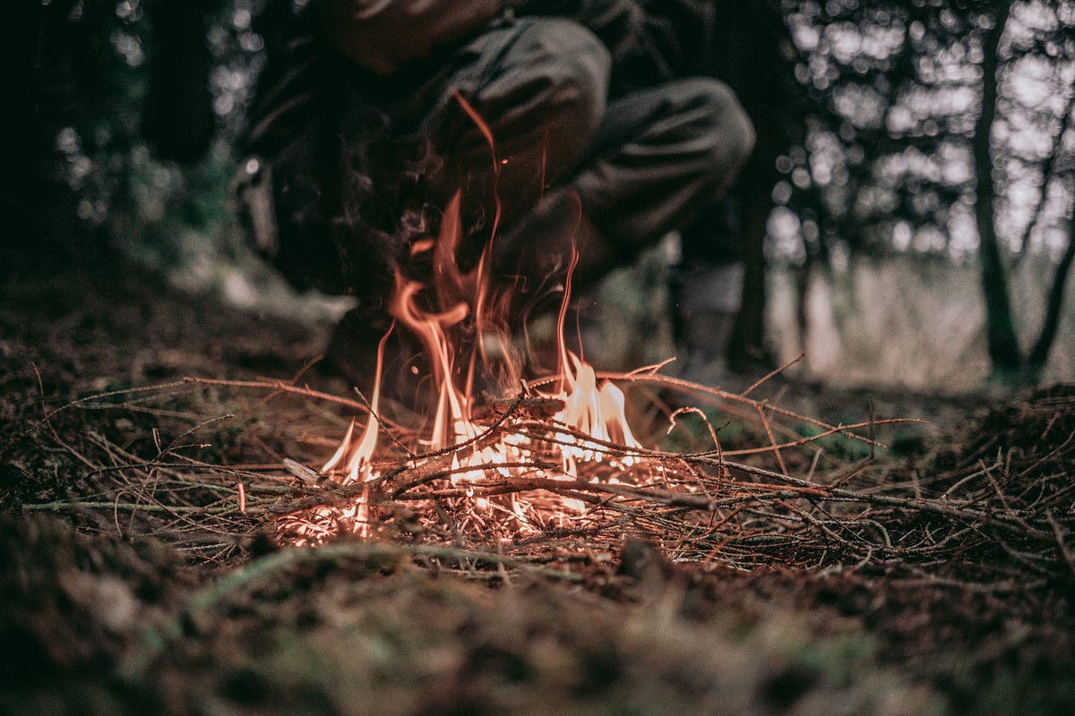 On The Purpose Of Fire. The Crucial Roles Of Fire During A… by Ian D Scofield Medium
