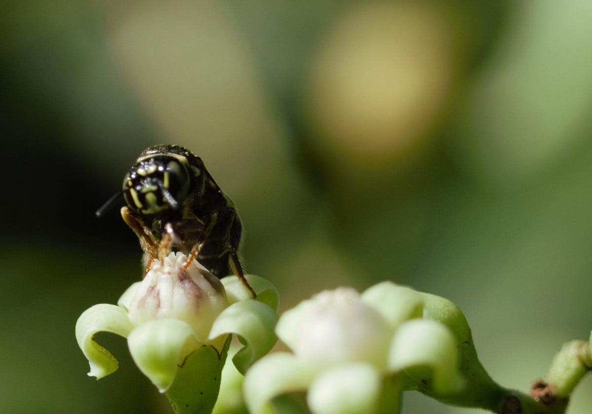 Generate TypeScript interfaces from Java Classes | by Jayson GCS ...