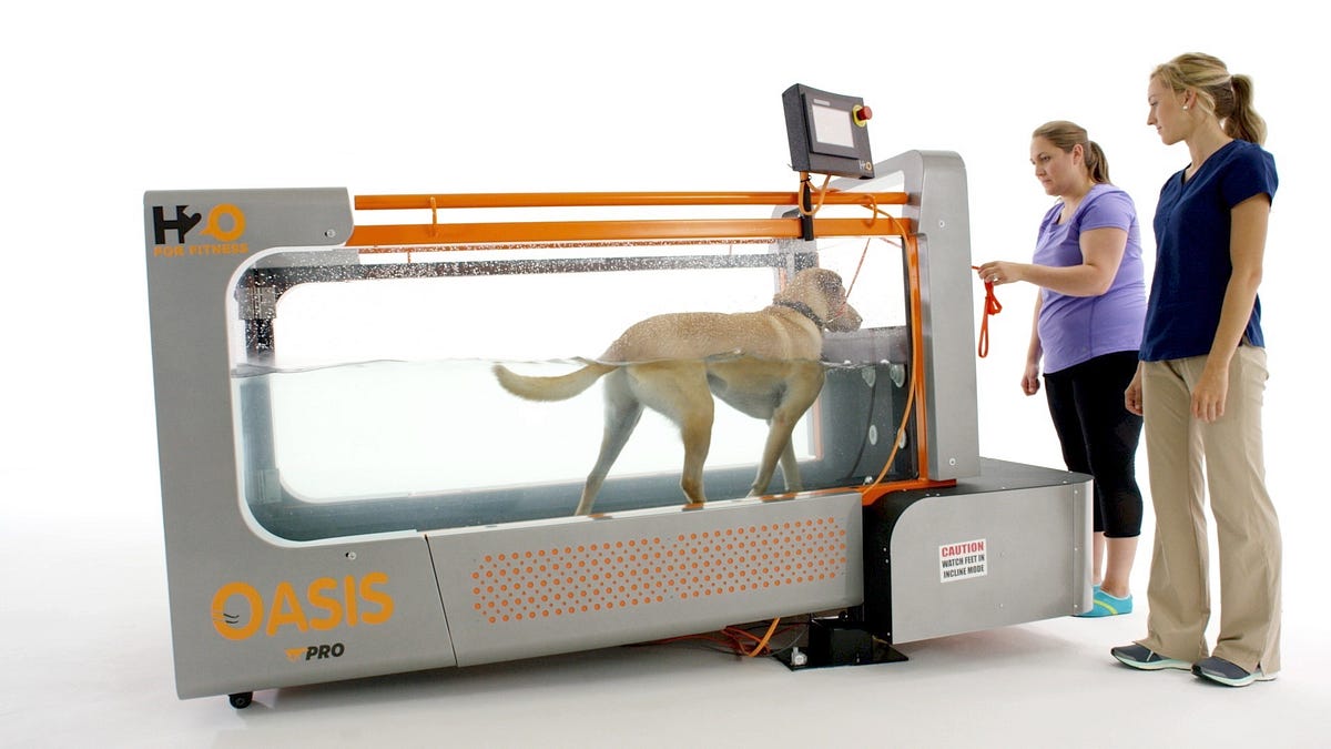 Classic Manual dog treadmills - treadmill for dog
