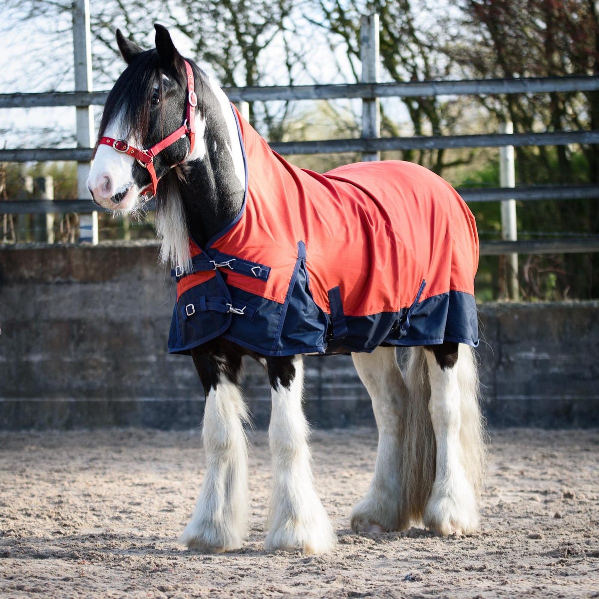 What Are the Different Styles of Medium Weight Turnout Rugs Available