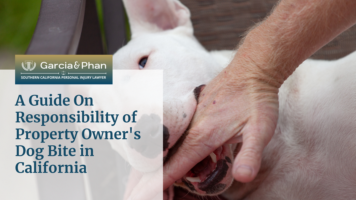 A Guide On Responsibility Of Property Owner’s Dog Bite In California