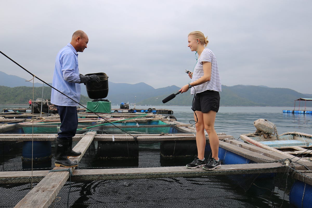 The fish you don’t know you eat. But an international reporting course