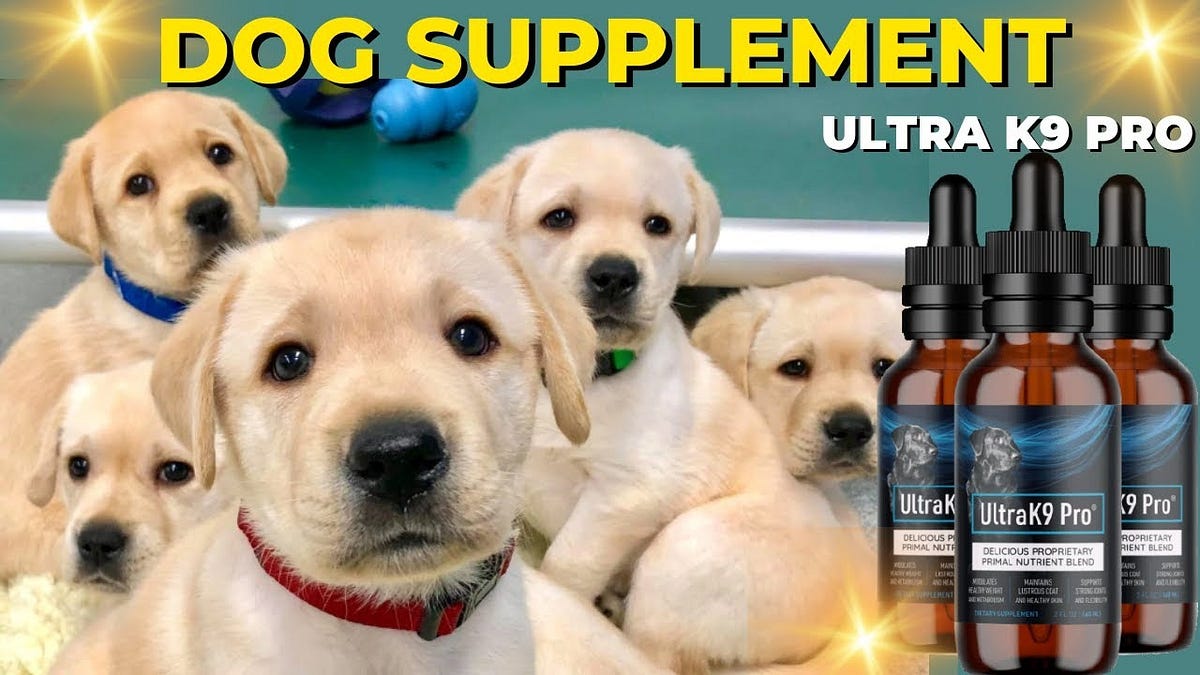 Unlock Your Dog’s Full Potential The Secret to a Healthier, Longer