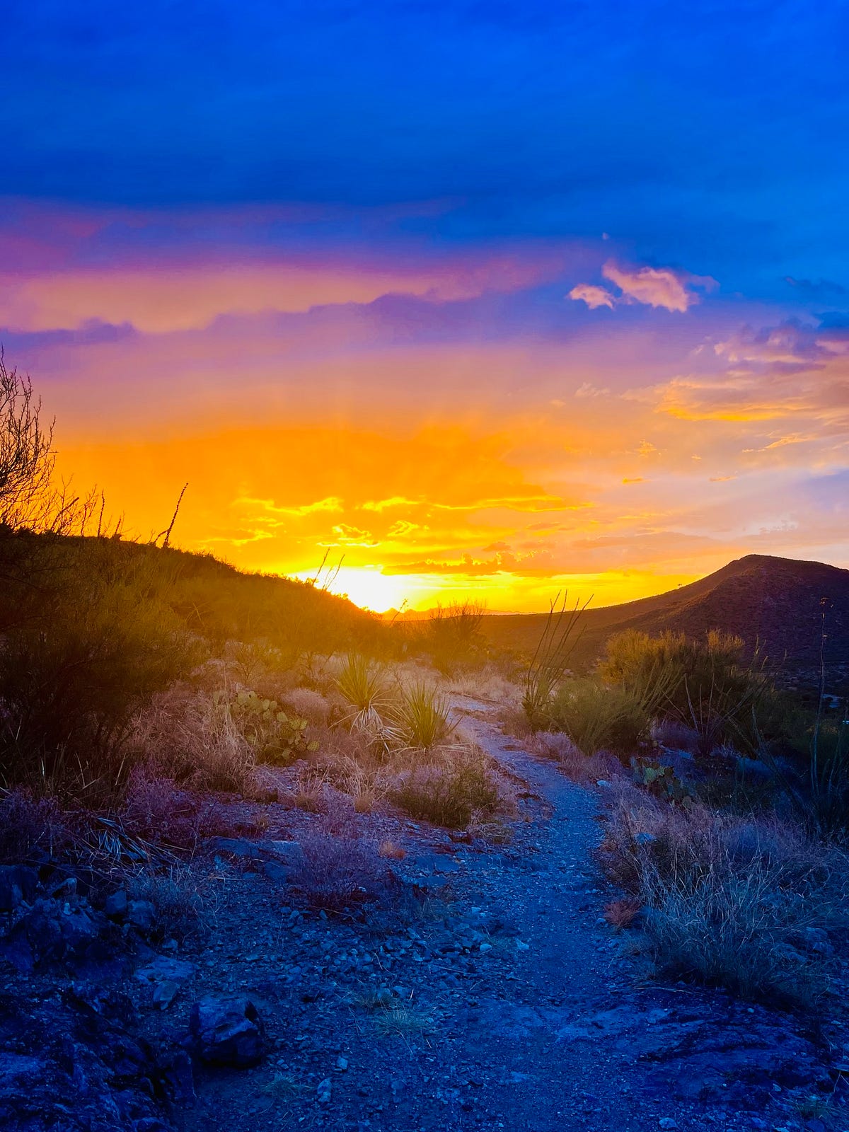 Runner’s Life Newsletter. Highlights and stories from October… by