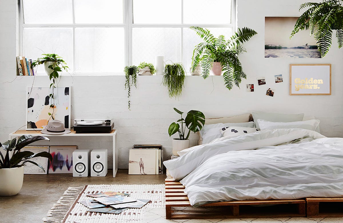 Serenity in Simplicity: Exploring Minimalist Plant Bedroom Decor with ...