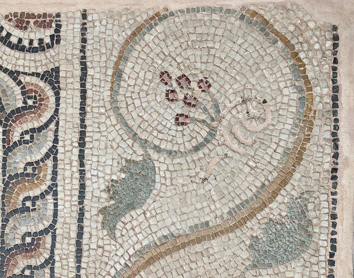 The Symbolic Language of the Grapevine: Decoding Ancient Messages 