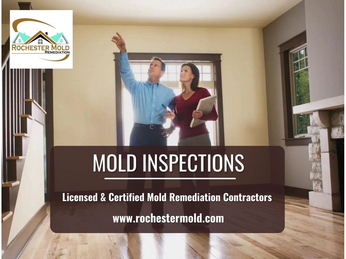 Mold Remediation Process Rochester NY Rochester Mold Remediation Medium