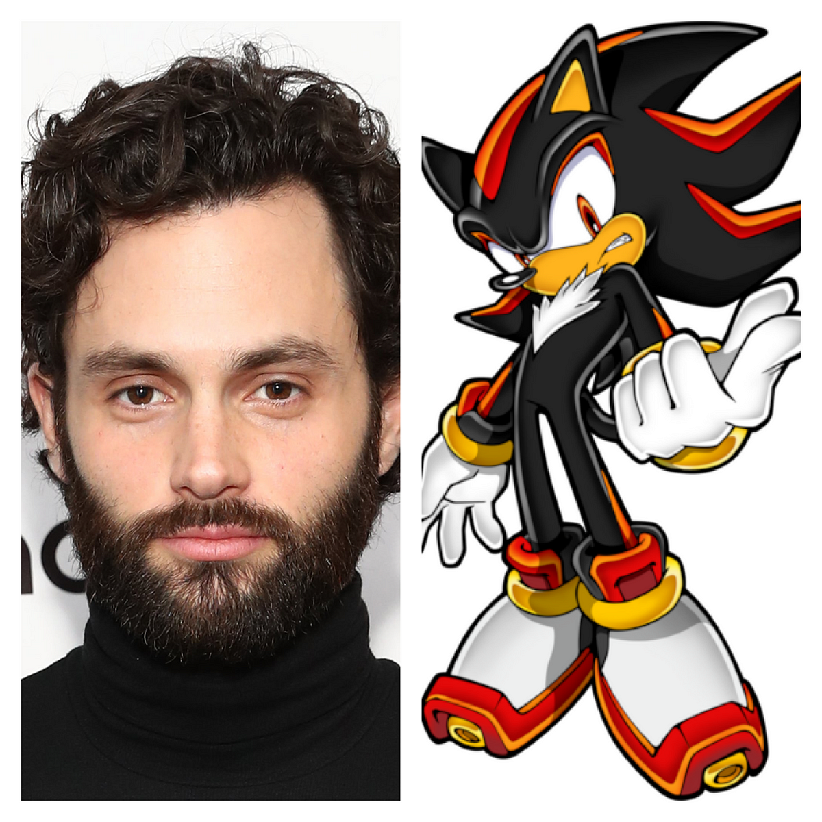 Shadow the Hedgehog Fan Casting for Sonic the Hedgehog 3