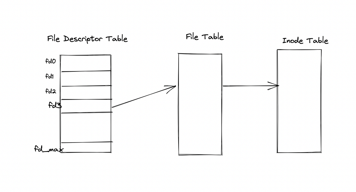 File Descriptors in Linux. In Linux everything is a file! Whenever