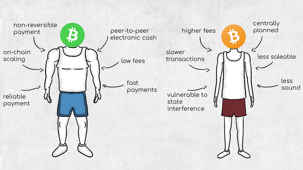 Bitcoin vs Bitcoin Cash: Why Not Both? | by Frederik Bussler | Medium