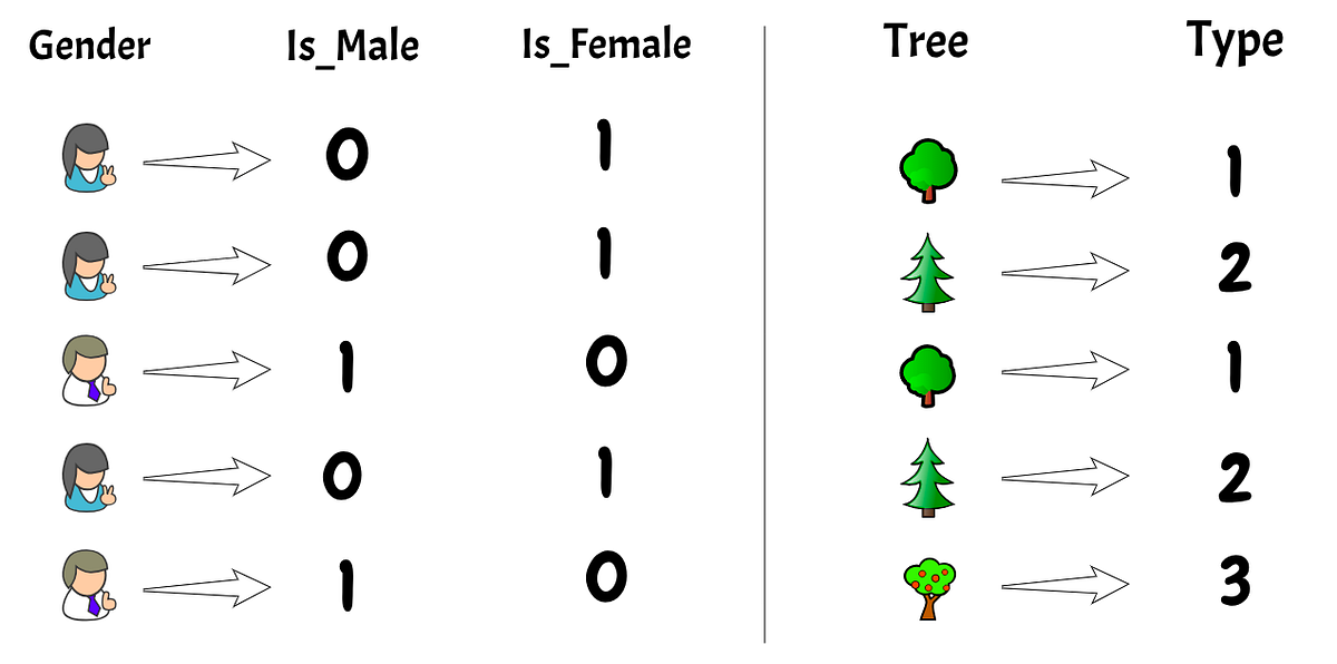 Types of Categorical Data Encoding Schemes | by Lakshay Arora ...